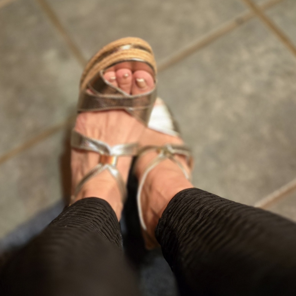 Shoe Dazzle Shimmering Silver Wedges